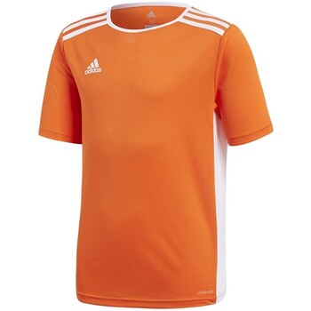 Clothing Boy Short-sleeved t-shirts adidas Originals Entrada 18 Orange