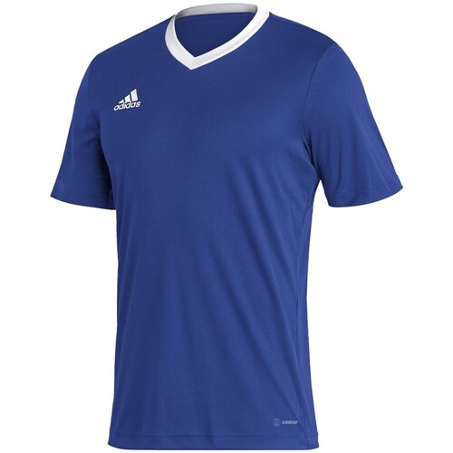 Clothing Men Short-sleeved t-shirts adidas Originals Entrada 22 Blue