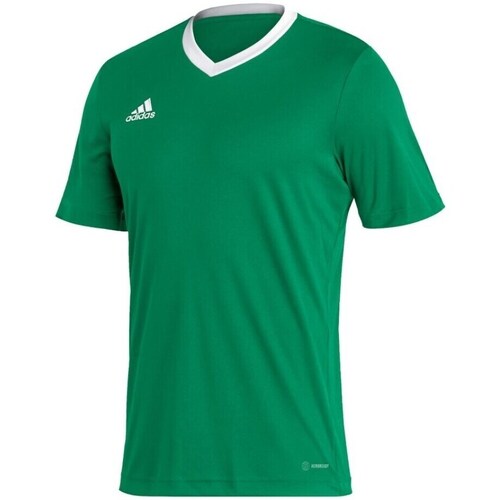 Clothing Men Short-sleeved t-shirts adidas Originals Entrada 22 Green