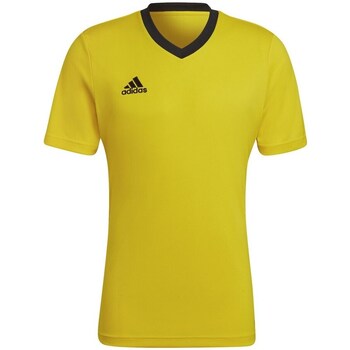 Clothing Men Short-sleeved t-shirts adidas Originals Entrada 22 Yellow