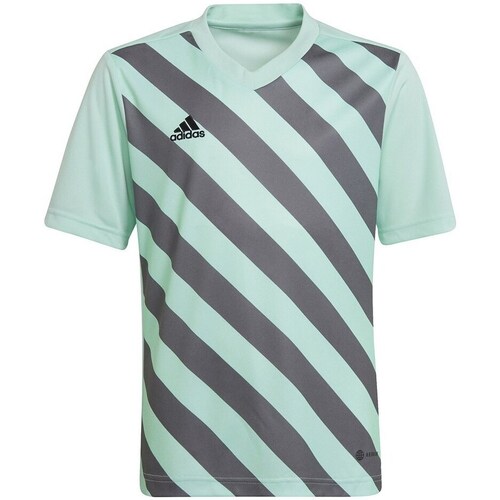 Clothing Boy Short-sleeved t-shirts adidas Originals Entrada 22 Graphic Jersey Green, Grey