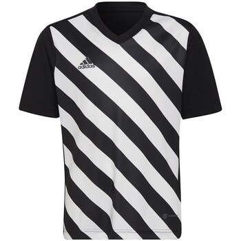 Clothing Boy Short-sleeved t-shirts adidas Originals Entrada 22 Graphic Jersey Black, White