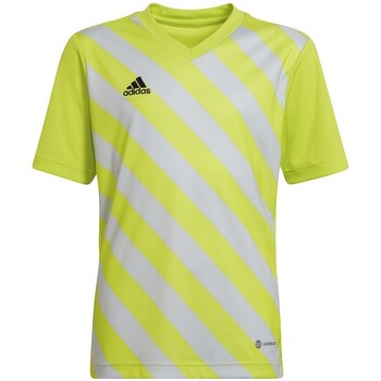 Clothing Boy Short-sleeved t-shirts adidas Originals Entrada 22 Graphic Jersey Yellow, White