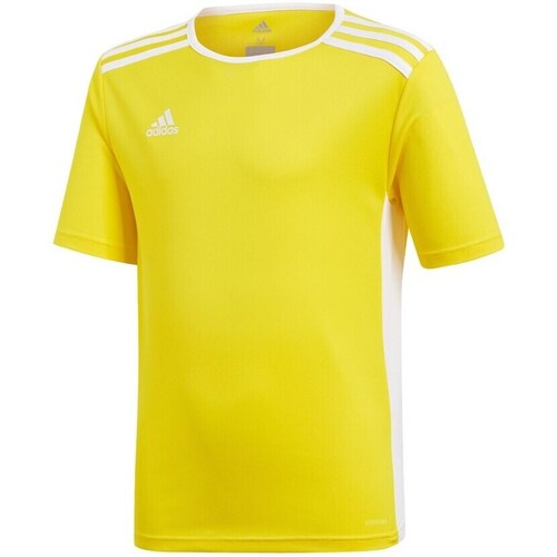 Clothing Boy Short-sleeved t-shirts adidas Originals JR Entrada 18 Yellow