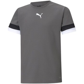 Clothing Men Short-sleeved t-shirts Puma Teamrise Jersey Grey