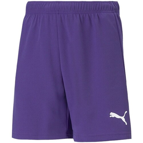 Clothing Men Cropped trousers Puma Teamrise Purple