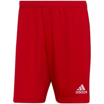 Clothing Men Cropped trousers adidas Originals Entrada 22 Red