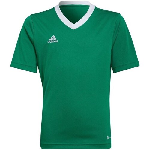 Clothing Boy Short-sleeved t-shirts adidas Originals Entrada 22 Green