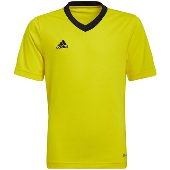 Clothing Men Short-sleeved t-shirts adidas Originals Entrada 22 Yellow