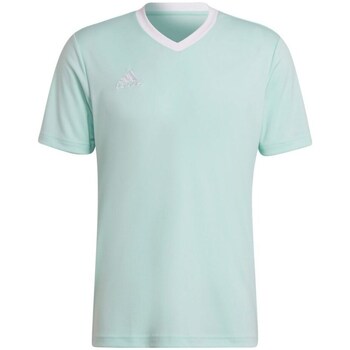 Clothing Men Short-sleeved t-shirts adidas Originals Entrada 22 Turquoise