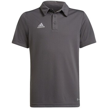 Clothing Boy Short-sleeved t-shirts adidas Originals Entrada 22 Grey