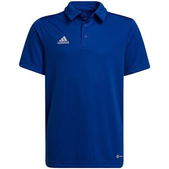 Clothing Boy Short-sleeved t-shirts adidas Originals Entrada 22 Blue
