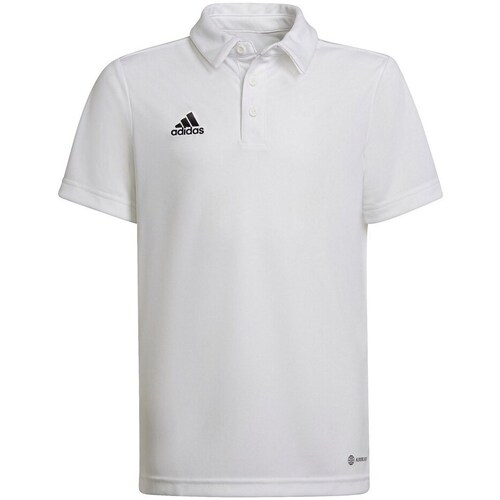 Clothing Boy Short-sleeved t-shirts adidas Originals Entrada 22 White