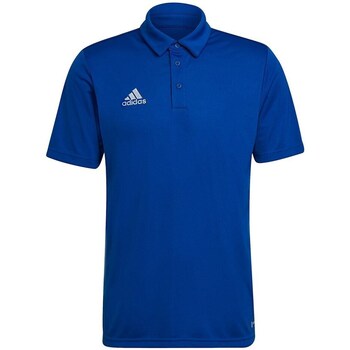 Clothing Men Short-sleeved t-shirts adidas Originals Entrada 22 Blue