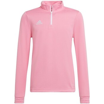 Clothing Men Sweaters adidas Originals Entrada 22 Training Pink