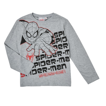 Clothing Boy Long sleeved tee-shirts TEAM HEROES  T-SHIRT SPIDER-MAN Grey