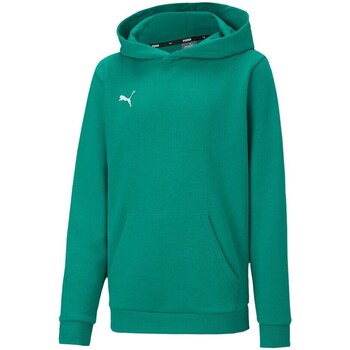 Clothing Girl Sweaters Puma Teamgoal 23 Causals Hoody Green