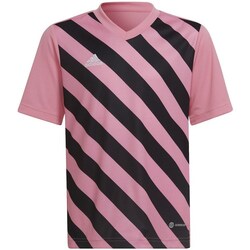 Clothing Boy Short-sleeved t-shirts adidas Originals Entrada 22 Pink, Black