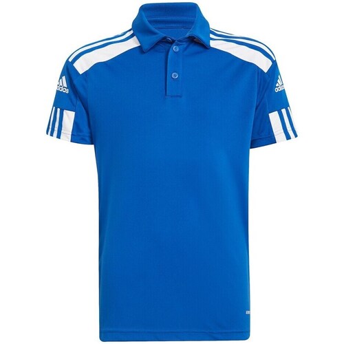 Clothing Boy Short-sleeved t-shirts adidas Originals Squadra 21 Blue