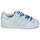 Shoes Women Low top trainers adidas Originals SUPERSTAR W White / Blue