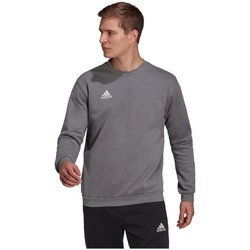 Clothing Men Sweaters adidas Originals Entrada 22 Grey