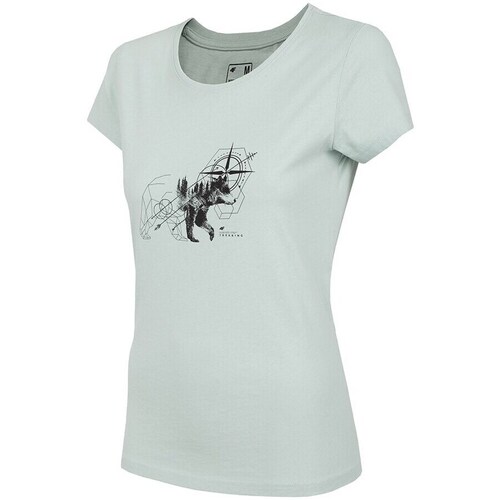 Clothing Women Short-sleeved t-shirts 4F TSD067 Grey