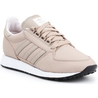 Shoes Women Low top trainers adidas Originals Forest Grove Beige