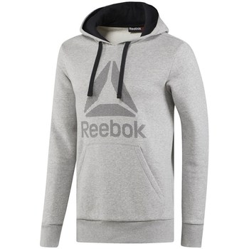 Clothing Men Sweaters Reebok Sport Wor BL Ctn Ply Hood Grey