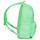 Bags Rucksacks adidas Originals ADICOLOR BACKPACK Green