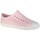 Shoes Women Low top trainers Native Jefferson Pink