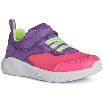 Shoes Girl Low top trainers Geox Sprintye Kids Trainers purple