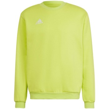 Clothing Men Sweaters adidas Originals Entrada 22 Yellow