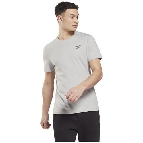 Clothing Men Short-sleeved t-shirts Reebok Sport Identity Classics Grey