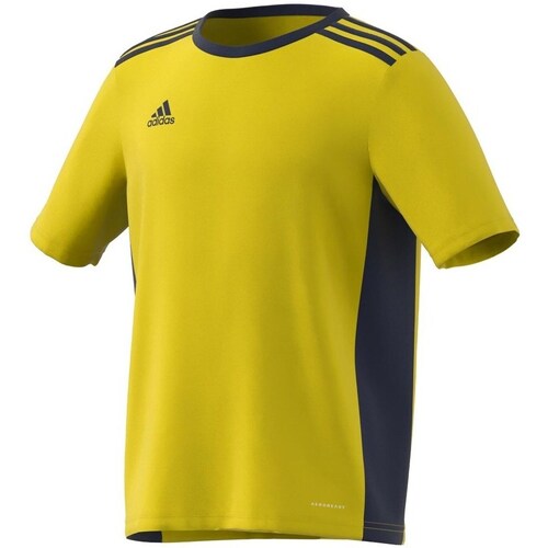 Clothing Boy Short-sleeved t-shirts adidas Originals Entrada 18 Black, Yellow