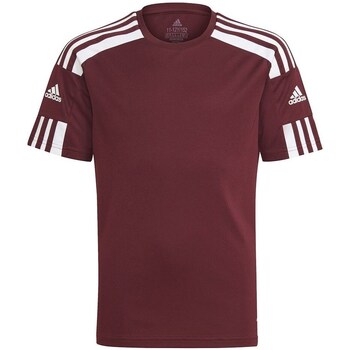 Clothing Men Short-sleeved t-shirts adidas Originals Squadra 21 Jersey Bordeaux
