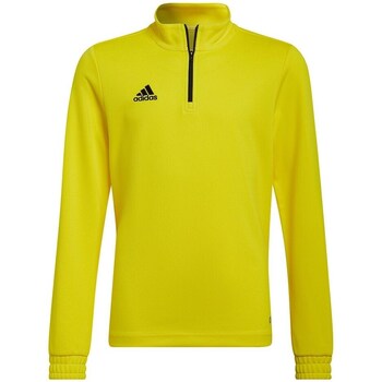 Clothing Men Sweaters adidas Originals Entrada 22 Training Yellow