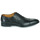 Shoes Men Brogues Pellet ALEX Veal / Oiled / Black