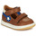 Shoes Boy Hi top trainers GBB ROBY Brown