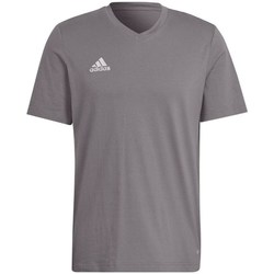 Clothing Men Short-sleeved t-shirts adidas Originals Entrada 22 Grey