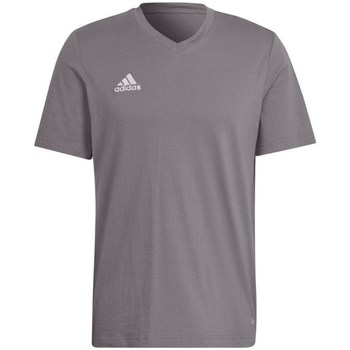 Clothing Men Short-sleeved t-shirts adidas Originals Entrada 22 Grey