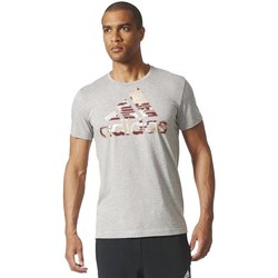 Clothing Men Short-sleeved t-shirts adidas Originals Ess Bos Foil Grey