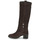 Shoes Women High boots Geox D GIULILA F Brown