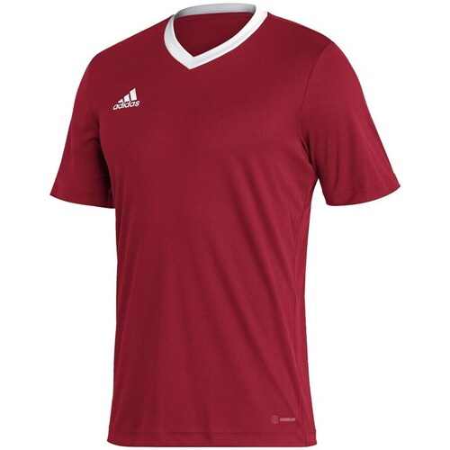 Clothing Men Short-sleeved t-shirts adidas Originals Entrada 22 Red