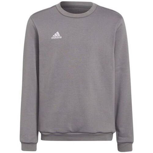 Clothing Boy Sweaters adidas Originals Entrada 22 Grey