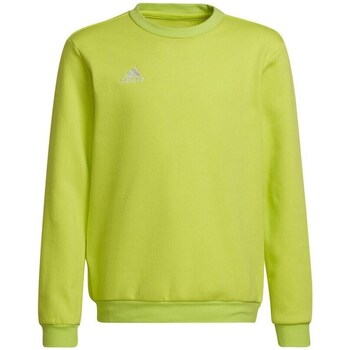 Clothing Girl Sweaters adidas Originals Entrada 22 Sweat Top Green