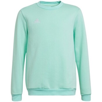 Clothing Girl Sweaters adidas Originals Entrada 22 Sweat Top Green