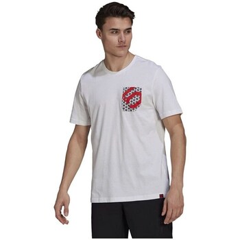 Clothing Men Short-sleeved t-shirts adidas Originals 510 Botb Tee M White