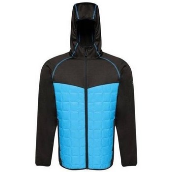 Clothing Men Jackets Regatta Modular Thermal Blue, Black