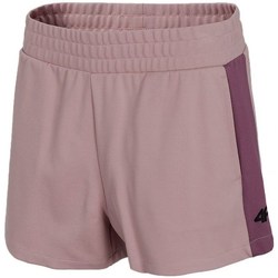 Clothing Women Cropped trousers 4F SKDD011 Purple