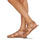 Shoes Women Sandals Kickers KICK DAZED Brown